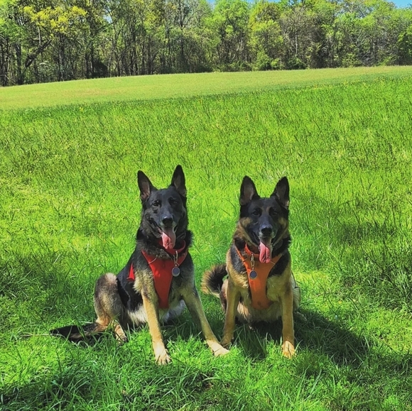 Meet your Posher, Monica - Picture 2 of 2